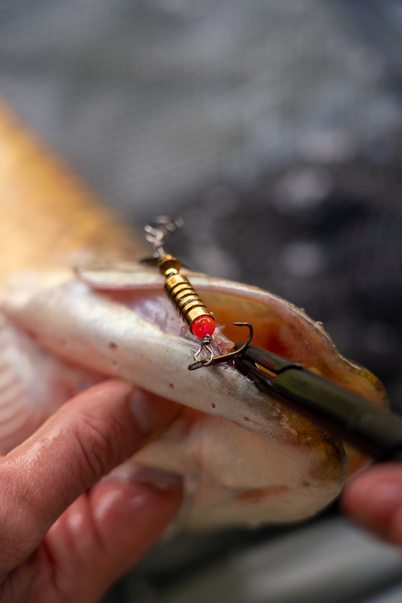 OMC FC LURE SPIN JIG COMBO SPINNER SPINNING BRAID ROD REEL ONE MORE CAST KITS TACKLE BOX FORCEPS WIRE TRACE