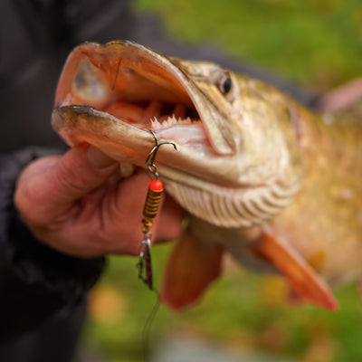 OMC FC LURE SPIN JIG COMBO SPINNER SPINNING KITS TACKLE BOX FORCEPS WIRE TRACE ONE MORE CAST