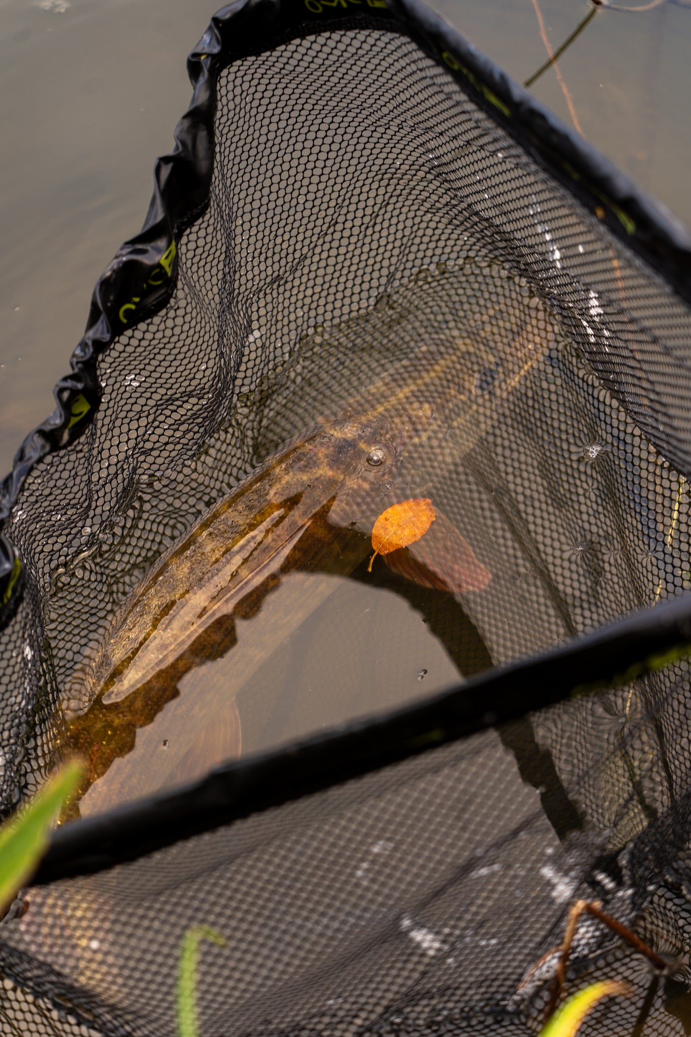 OMC FC LURE SPIN JIG COMBO SPINNER SPINNING BRAID ROD REEL ONE MORE CAST KITS TACKLE BOX FORCEPS WIRE TRACE