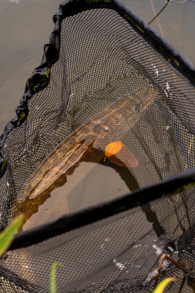 OMC FC LURE SPIN JIG COMBO SPINNER SPINNING BRAID ROD REEL ONE MORE CAST KITS TACKLE BOX FORCEPS WIRE TRACE