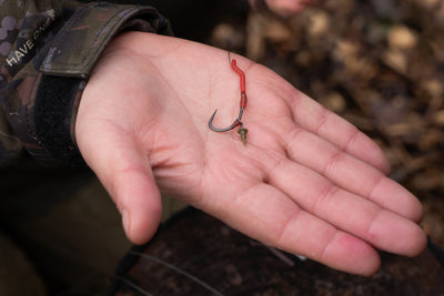 Long Leg Aligner Bloodworm Red