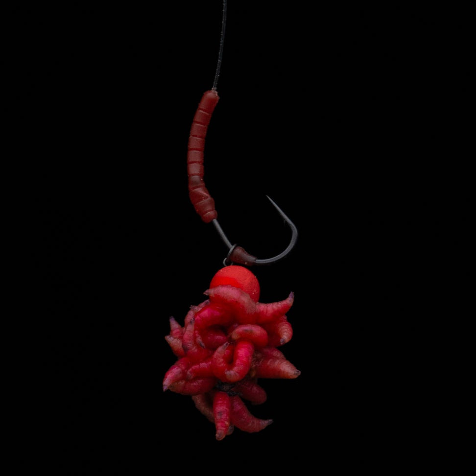 Dazzlers Bloodliner - curva