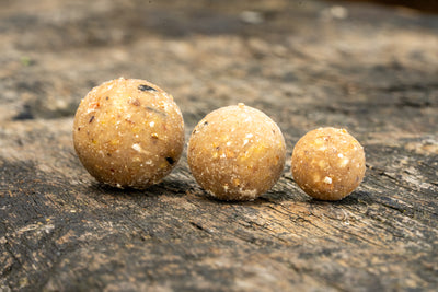 iScream Stabilised Boilies 10mm 14mm 18mm OMC One More Cast