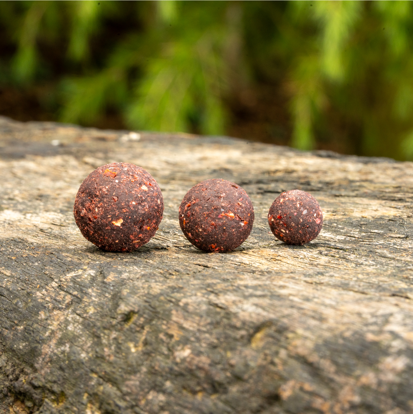 Paella Stabilised Boilies Carp OMC One More Cast