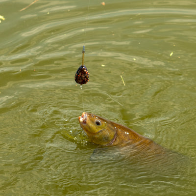 OMC FC Feeder Rod Reel Combo One More Cast First Cast