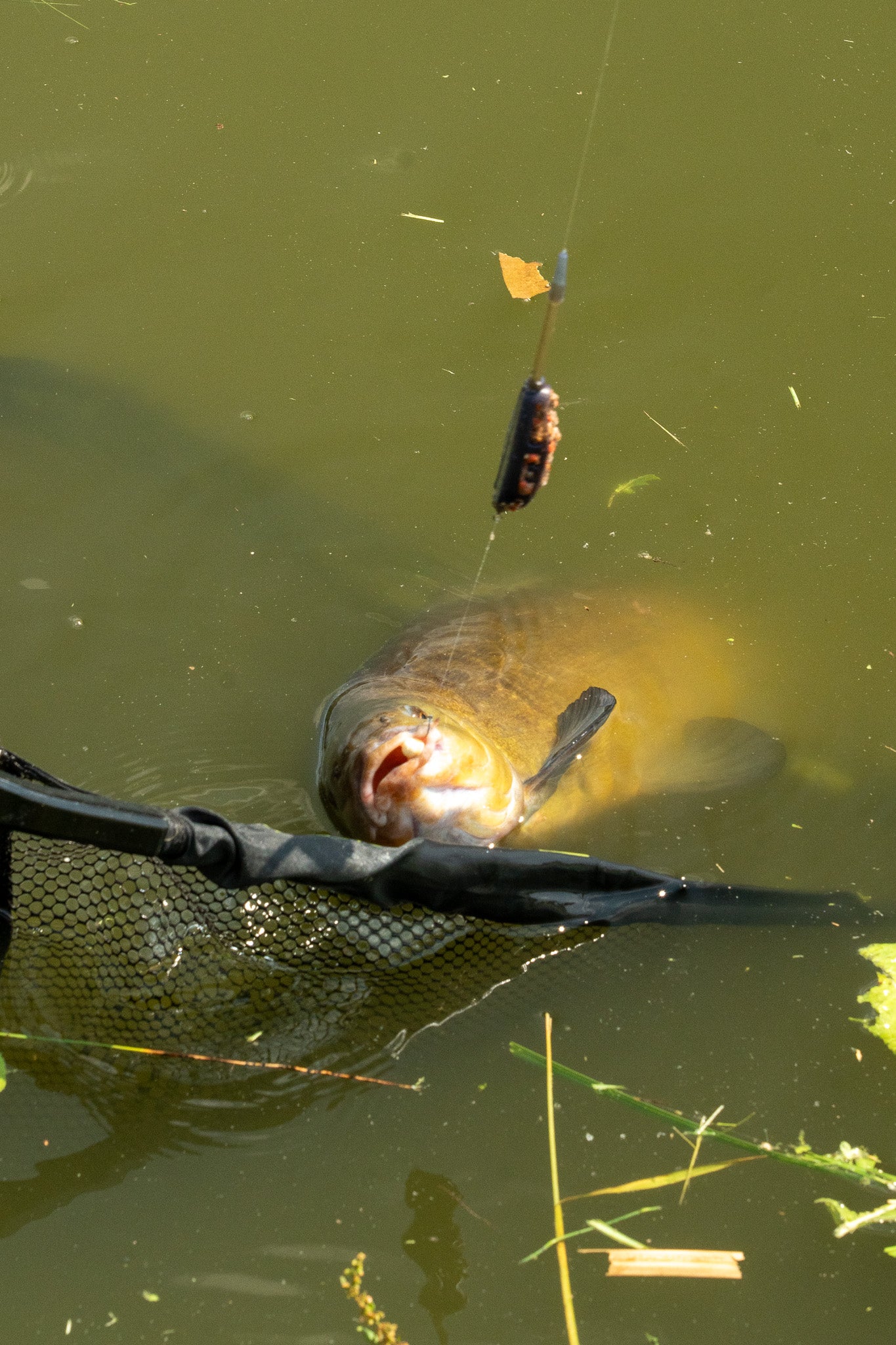 OMC FC One More Cast Feeder Fishing Bundle First Cast Combo Mat Net Tackle Box