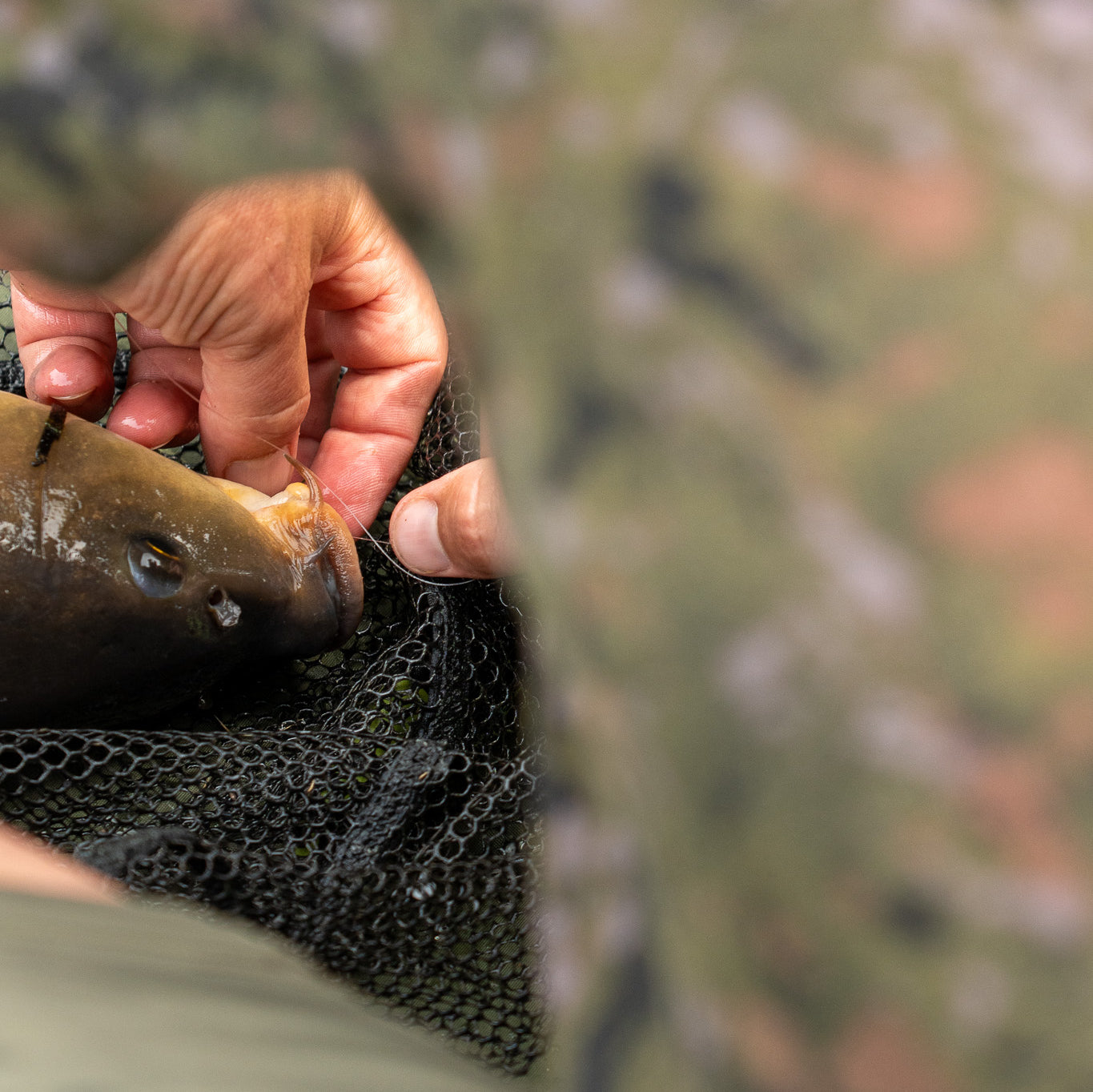OMC FC One More Cast Feeder Fishing Bundle First Cast Combo Mat Net Tackle Box