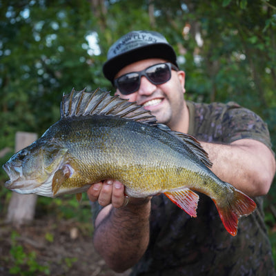 OMC River Beast Bundle