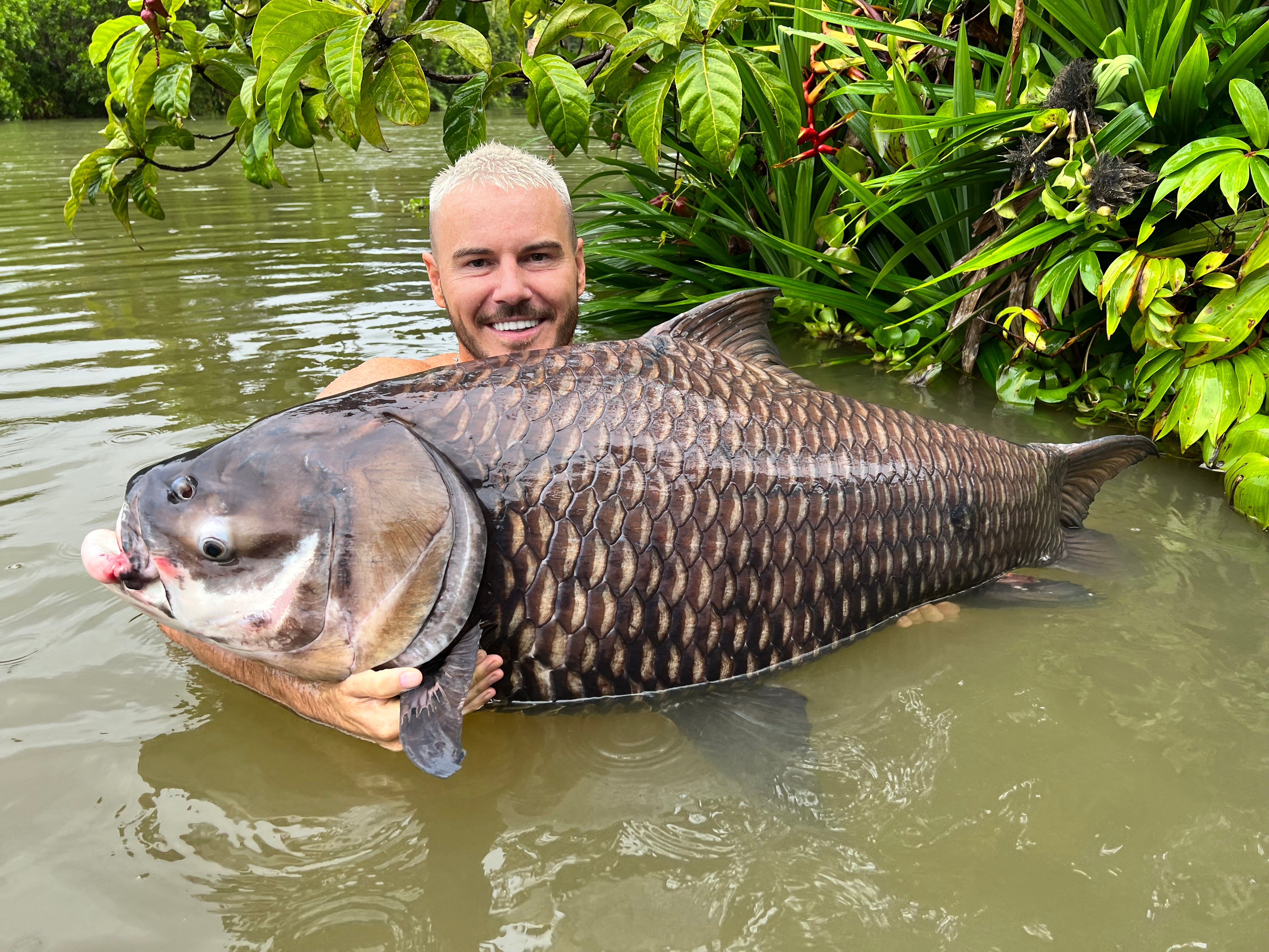 OMC Thailand Big Beast Bundle