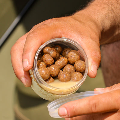 OMC Bait iScream infused nutty sauce dumbells hard hookers hardened