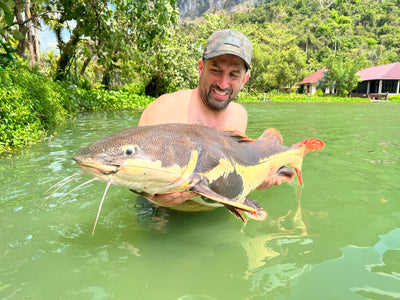 OMC Thailand Big Beast Bundle