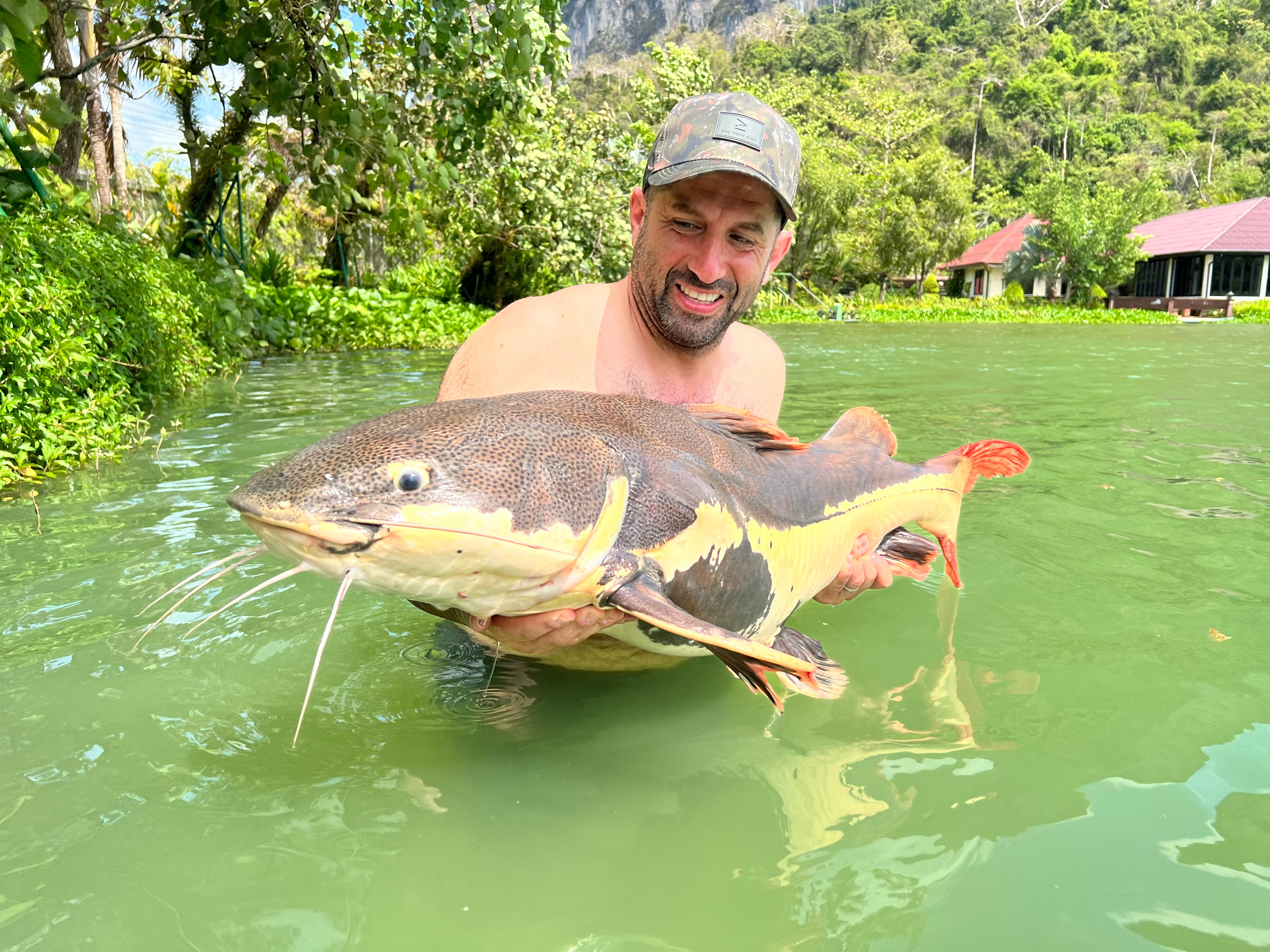 OMC Thailand Big Beast Bundle
