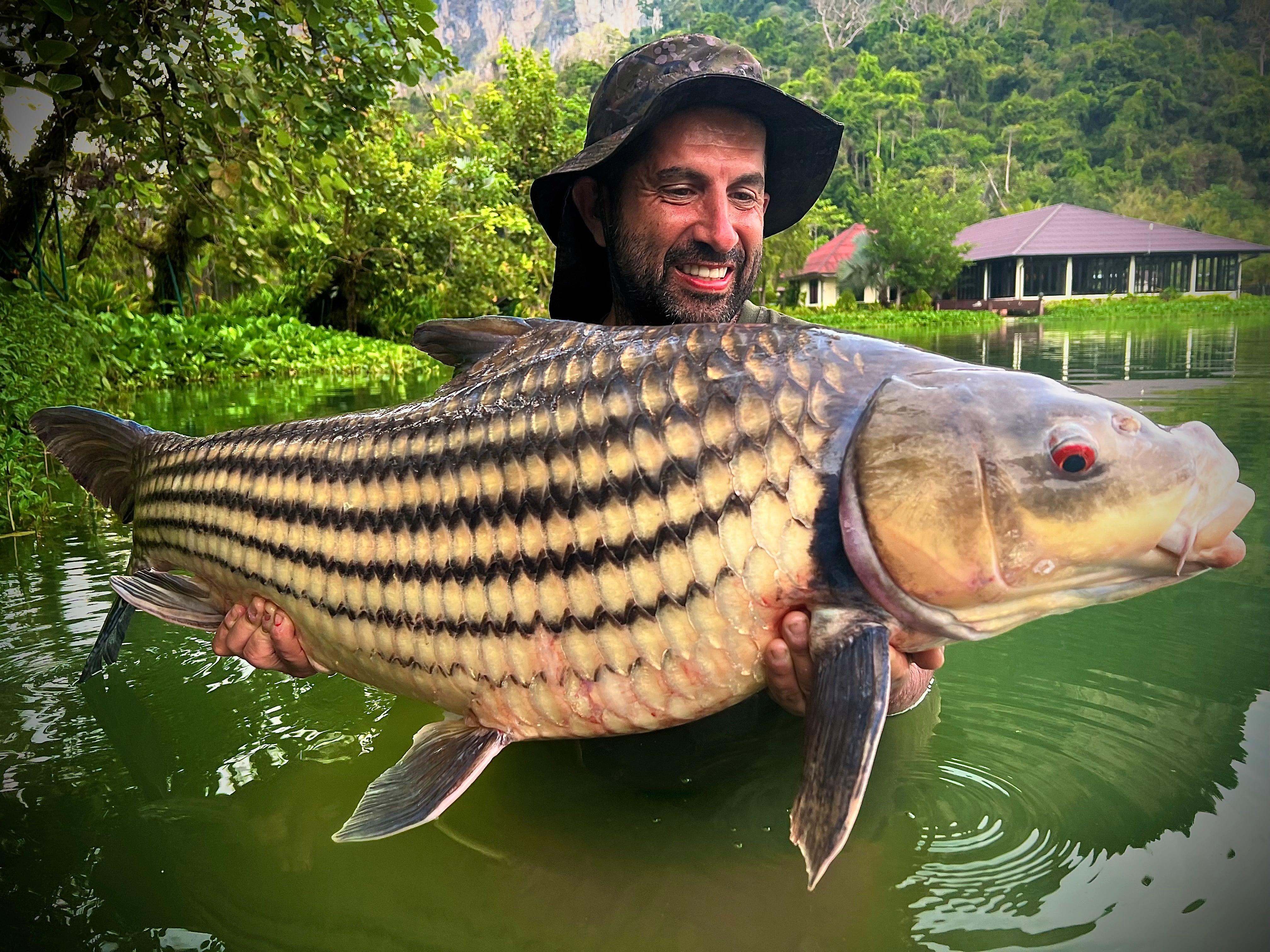 OMC Thailand Big Beast Bundle