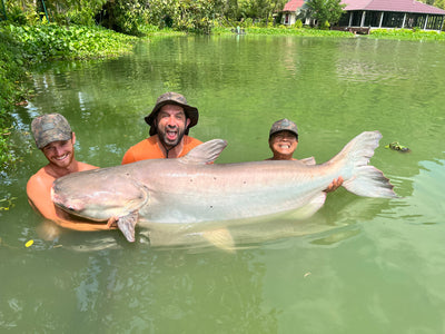 OMC Thailand Big Beast Bundle