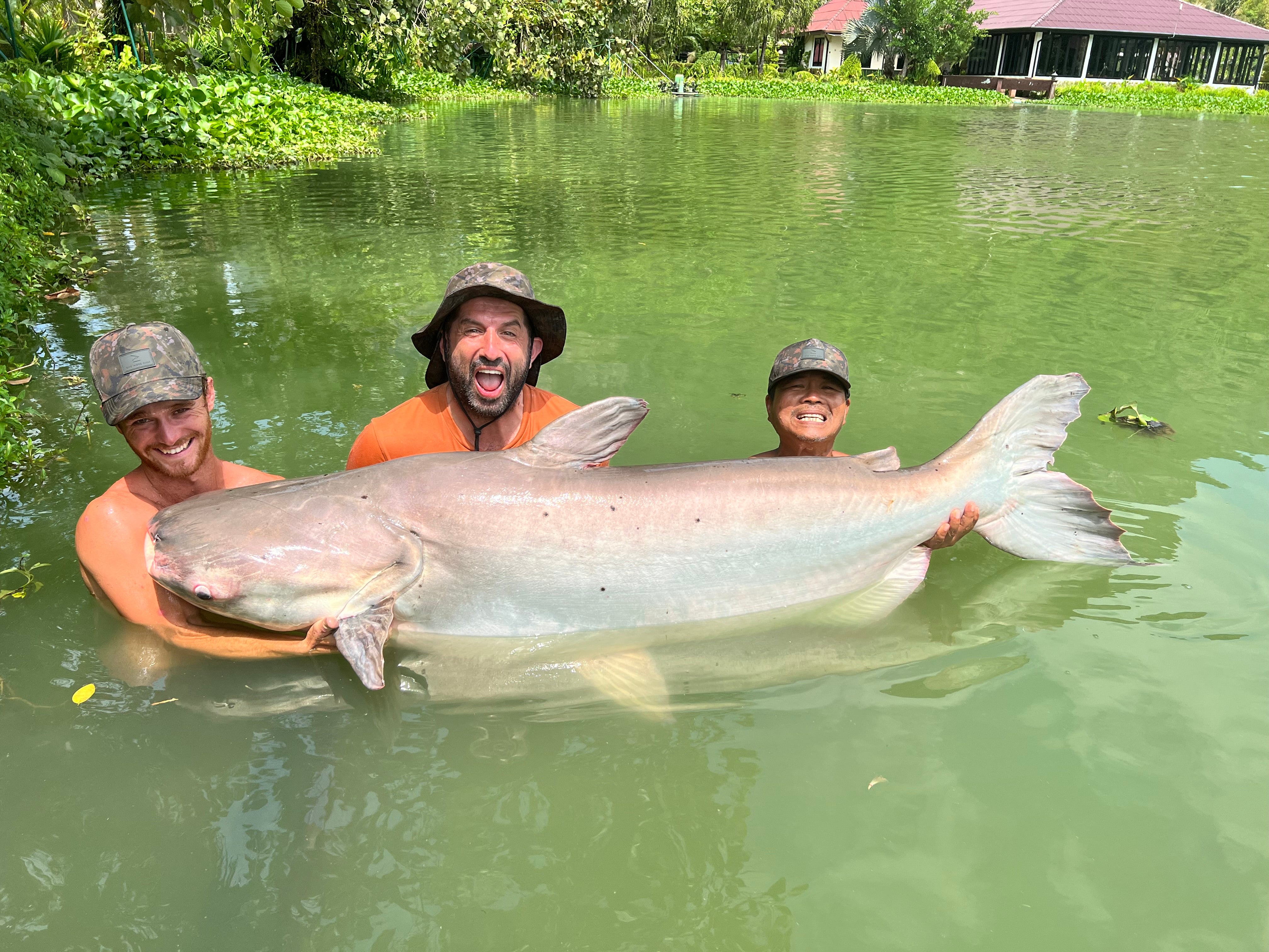 OMC Thailand Big Beast Bundle