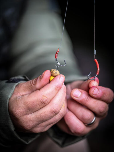 One More Cast  Dazzlers Bloodliners - Curve