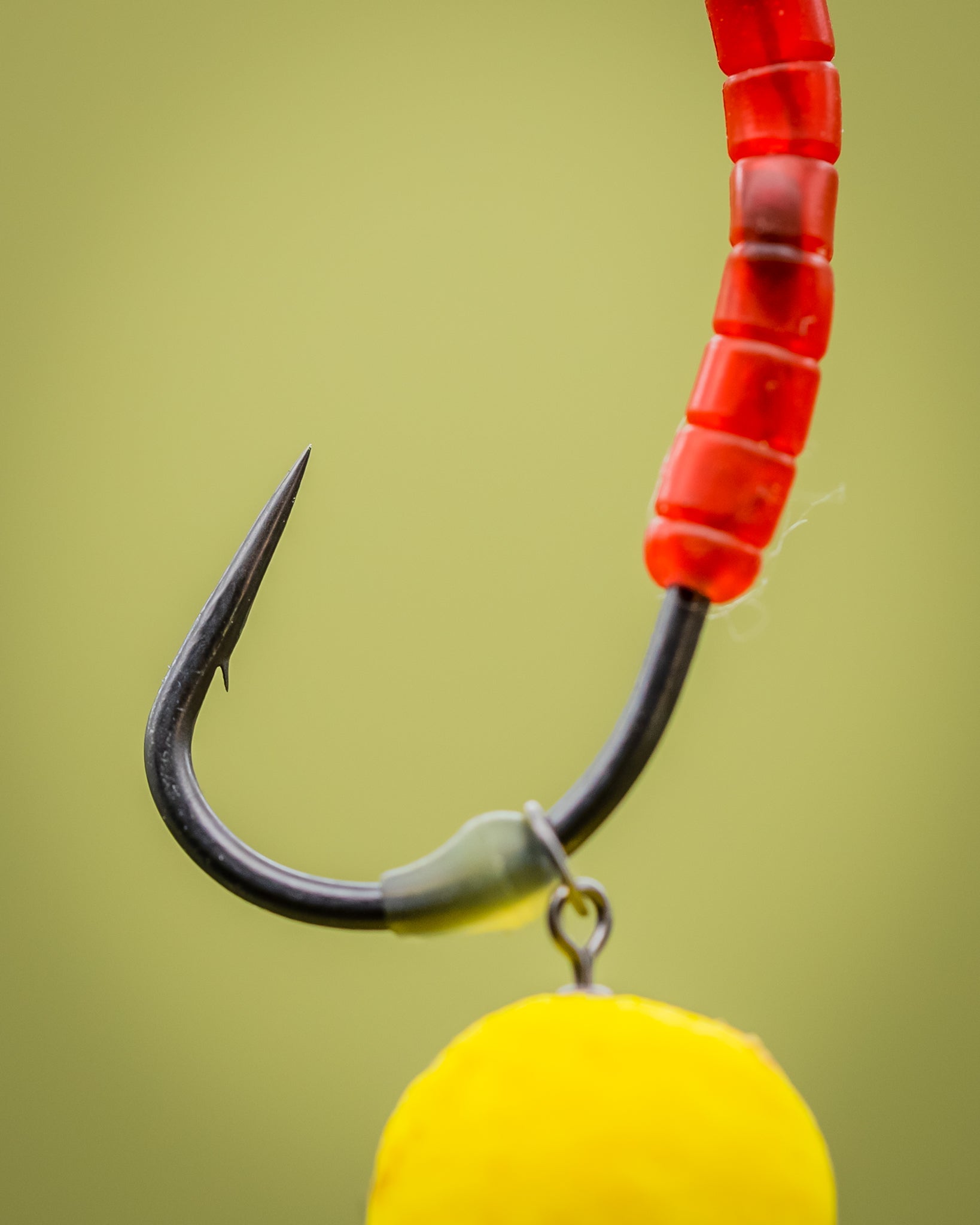 CASSIEN-Surrender-Conti-Hooks