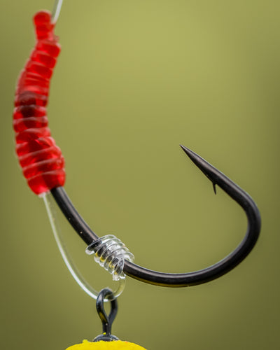 COLNE-V-Surrender-Curve-Hooks