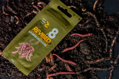 Revibed Imitation Worms