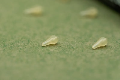 Dazzlers Magowhite Long Distance Hookbead