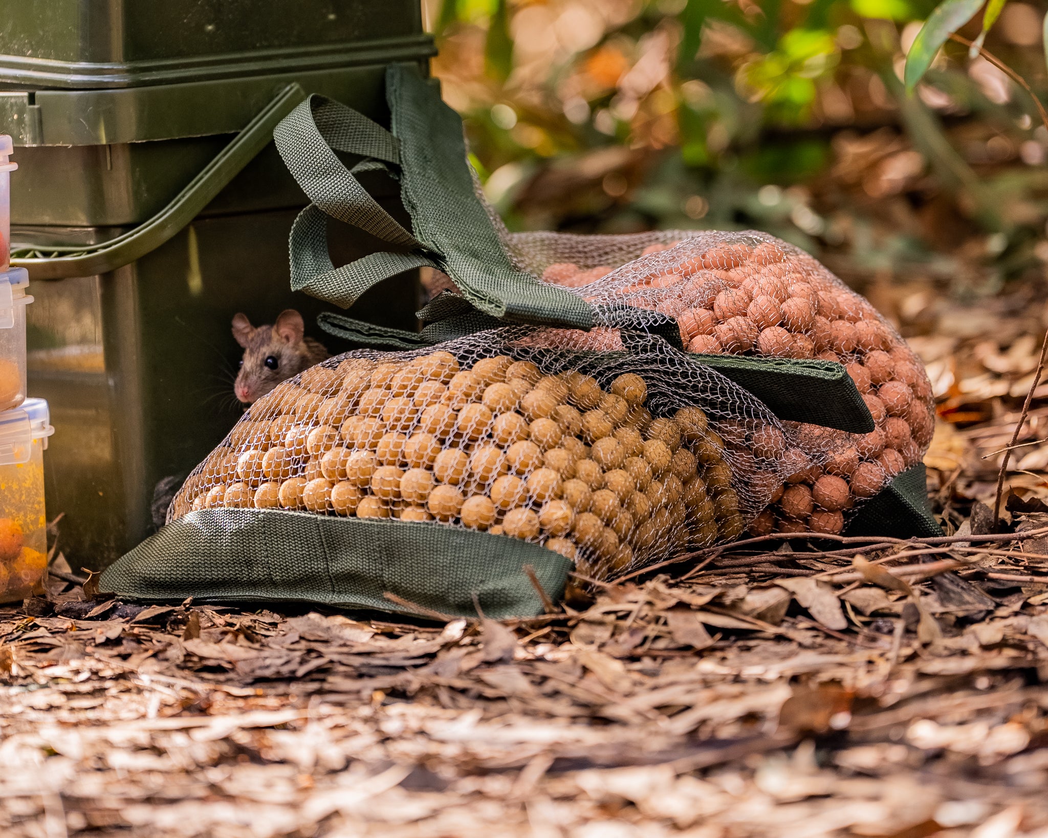 The Rat Bag – ONE MORE CAST