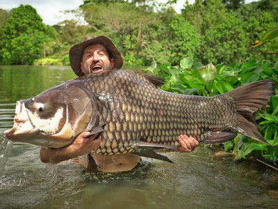 Blend Big Beast Fused Kevlar Leader 85lbs